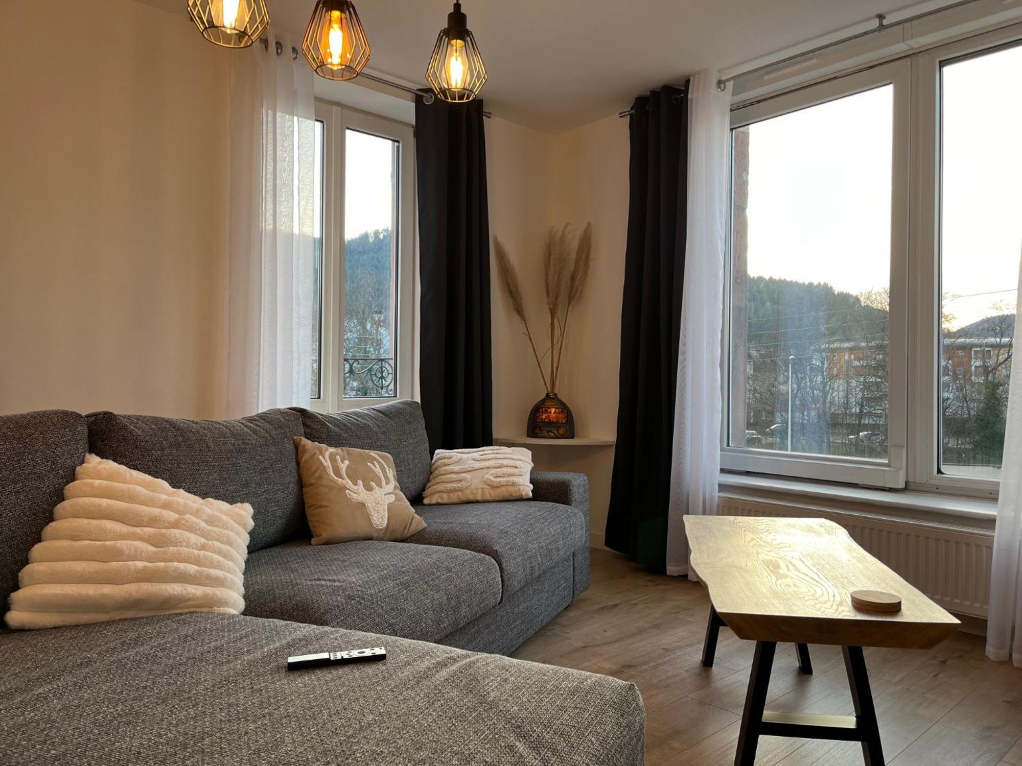 Appartement St Eloi 75M² サン＝ディエ＝デ＝ヴォージュ エクステリア 写真