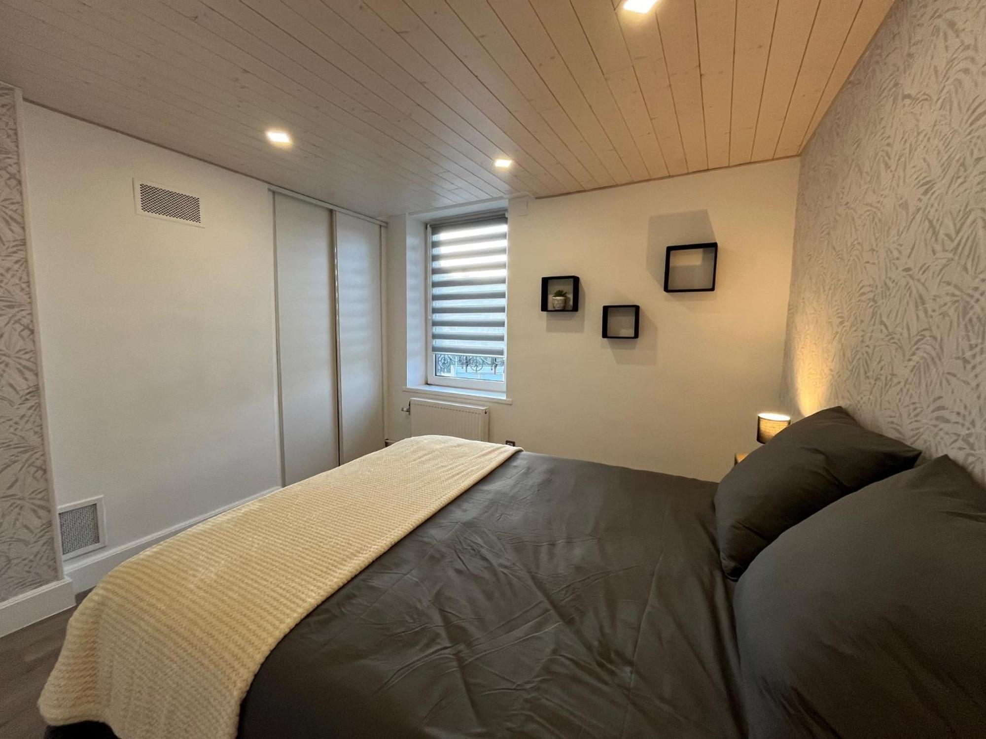 Appartement St Eloi 75M² サン＝ディエ＝デ＝ヴォージュ エクステリア 写真