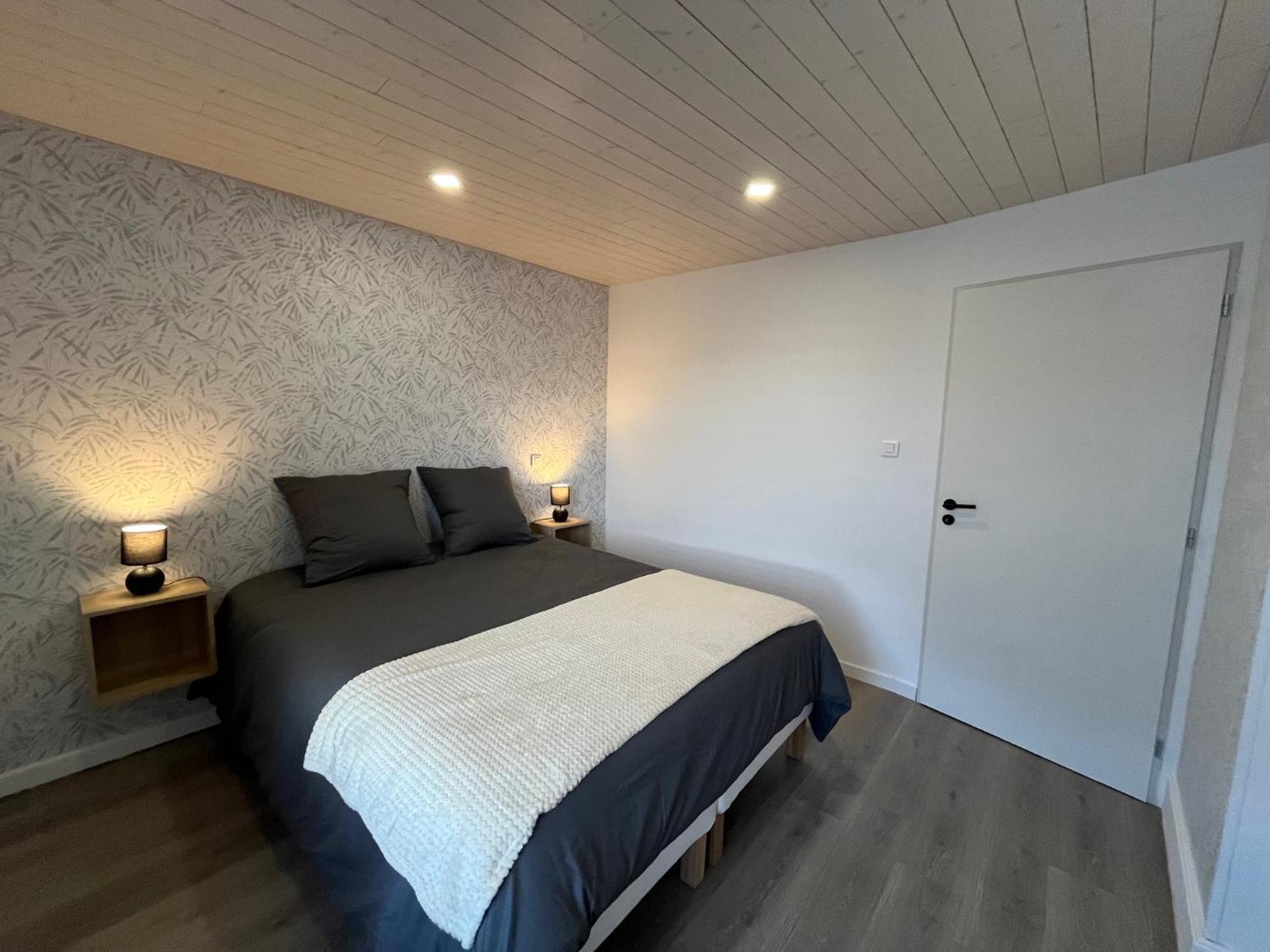 Appartement St Eloi 75M² サン＝ディエ＝デ＝ヴォージュ エクステリア 写真